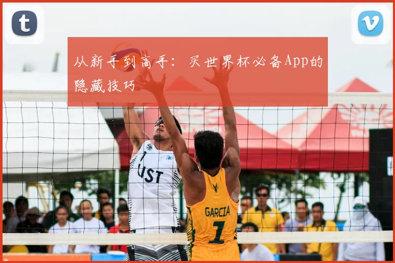 从新手到高手:买世界杯必备App的隐藏技巧