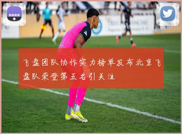 飞盘团队协作实力榜单发布北京飞盘队荣登第五名引关注