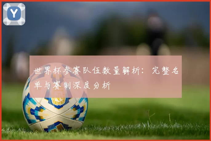 世界杯参赛队伍数量解析:完整名单与赛制深度分析