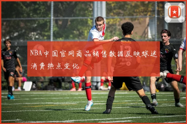 NBA中国官网商品销售数据反映球迷消费热点变化