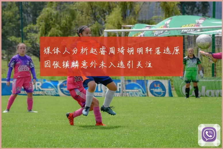 媒体人分析赵睿周琦胡明轩落选原因张镇麟意外未入选引关注