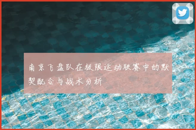 南京飞盘队在极限运动联赛中的默契配合与战术分析