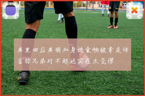 库里回应库明加身边食物被拿走传言称兄弟对不起这实在太荒谬