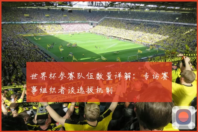 世界杯参赛队伍数量详解:专访赛事组织者谈选拔机制