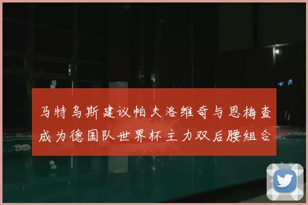 马特乌斯建议帕夫洛维奇与恩梅查成为德国队世界杯主力双后腰组合