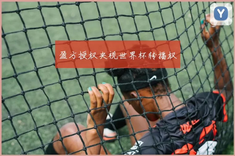 盈方授权央视世界杯转播权