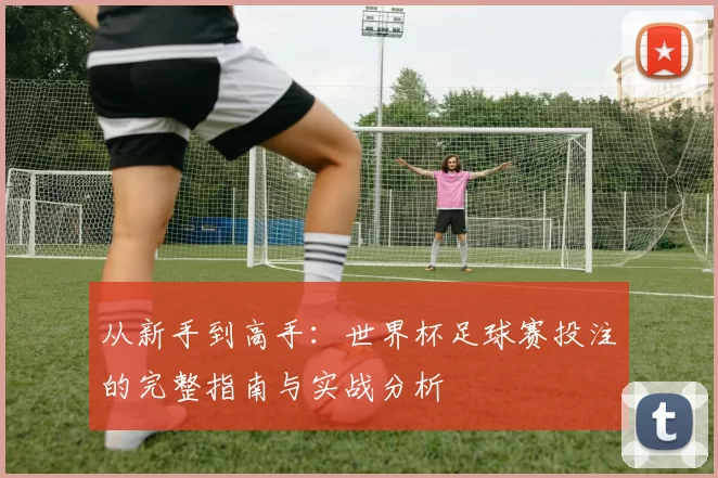 从新手到高手:世界杯足球赛投注的完整指南与实战分析