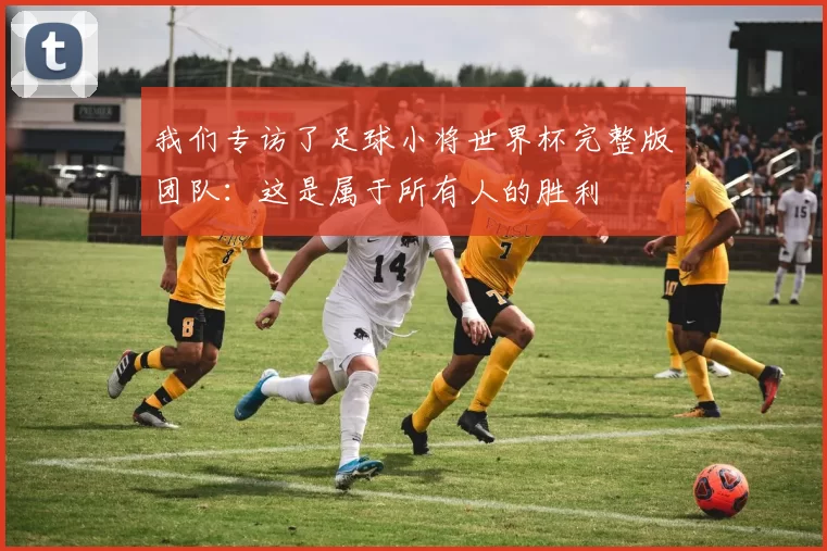 我们专访了足球小将世界杯完整版团队：这是属于所有人的胜利