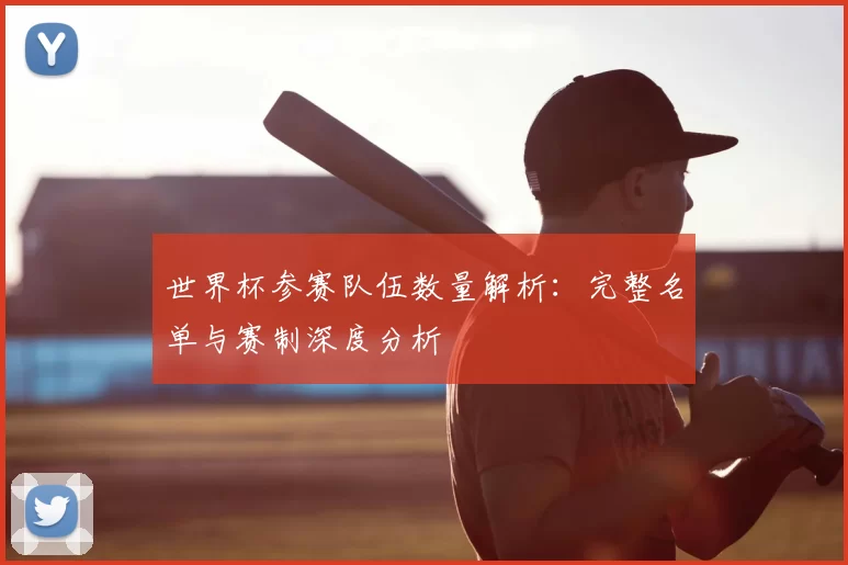 世界杯参赛队伍数量解析:完整名单与赛制深度分析